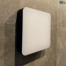 Світильник вуличний настінно-стельовий ArchiLumia Ruby 39015